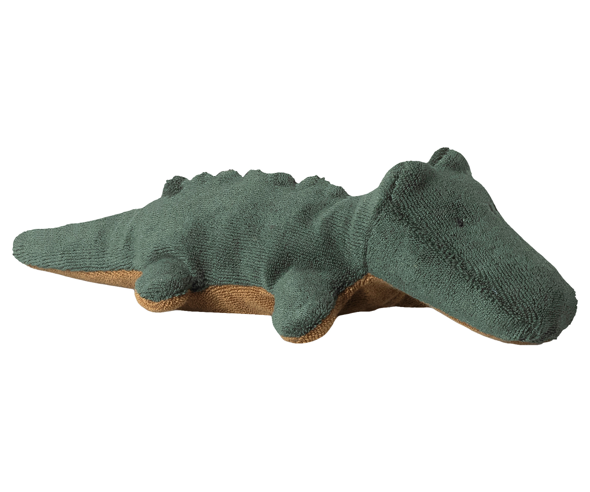 69553736