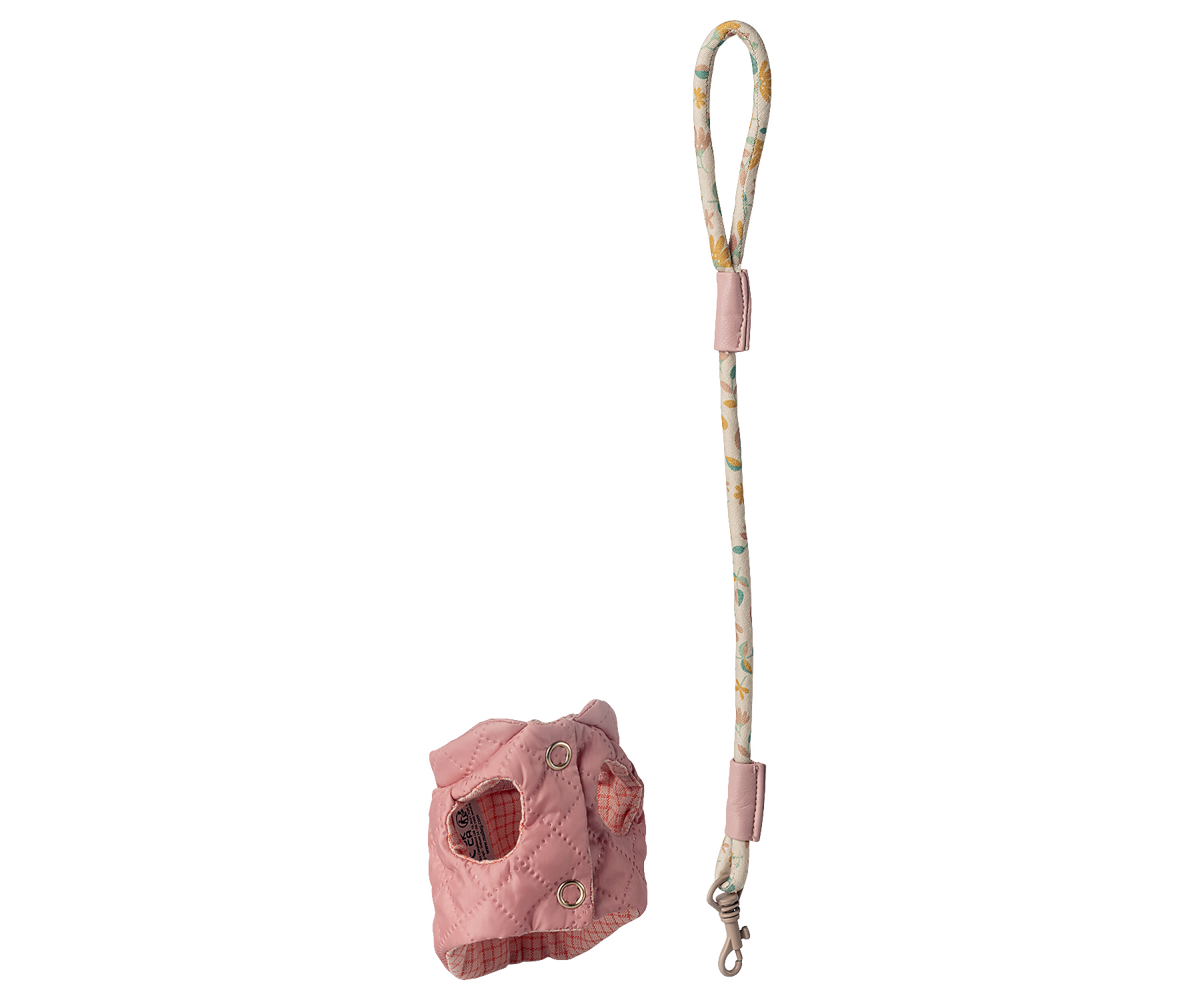 69553746
