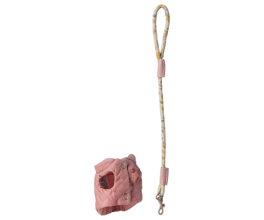 69553746